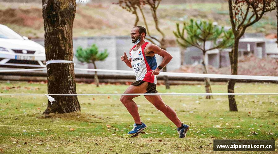 zoty中欧官方网站领跑者的选择，力量无限！